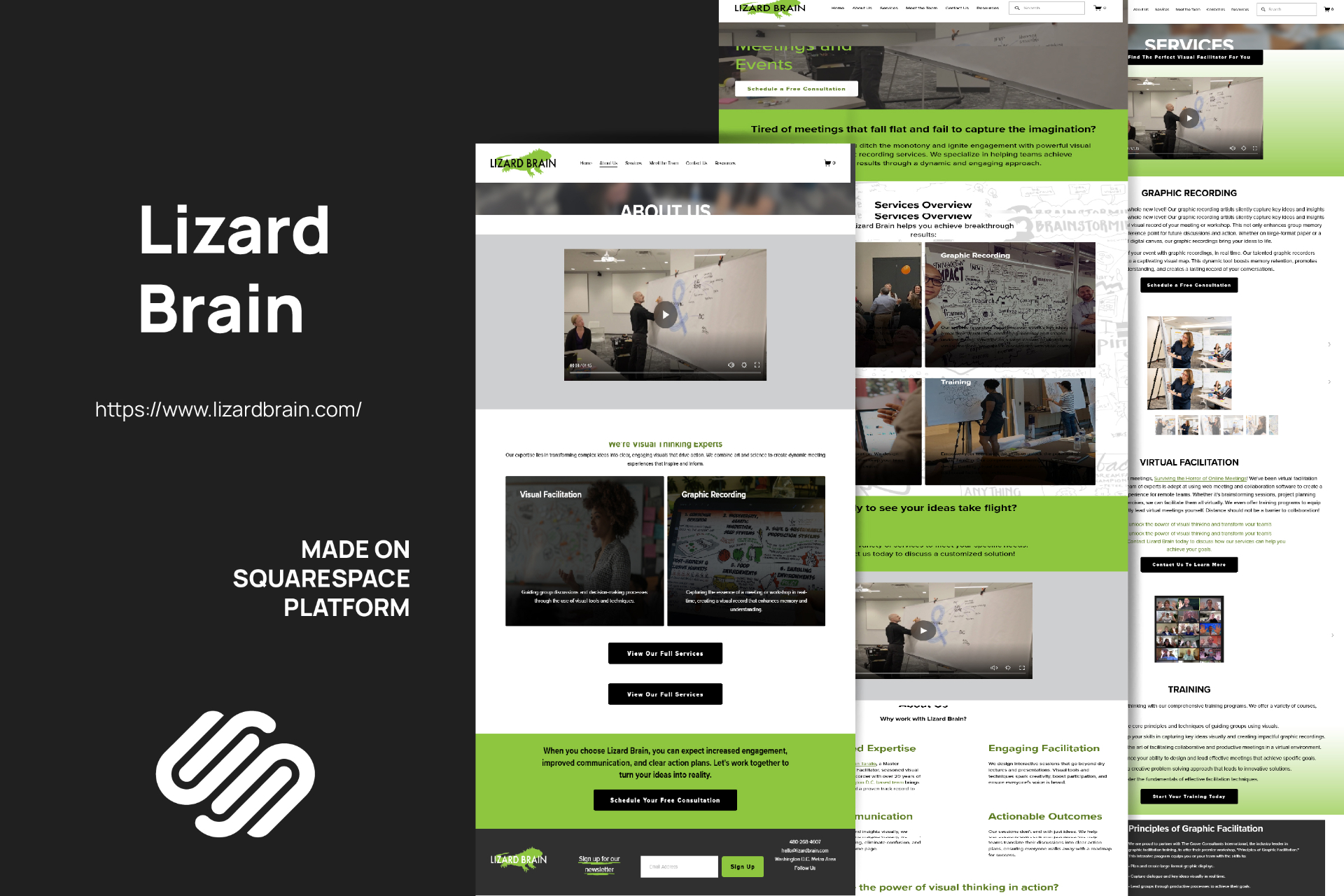 Lizard Brain — Facilitation website