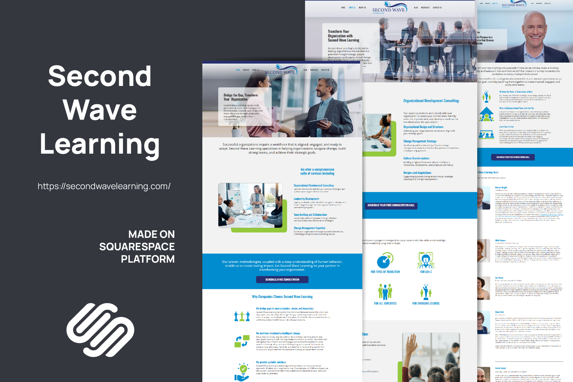 Second Wave Learning — Consulting website